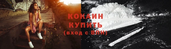 винт Каменка