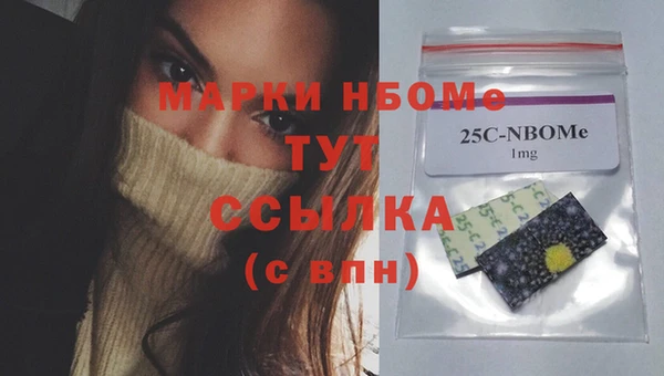 молекула духа Костерёво