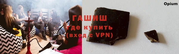 шишки Коряжма