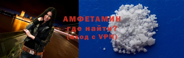 шишки Коряжма