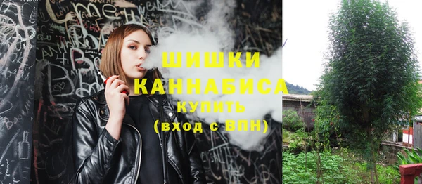 амф Кущёвская