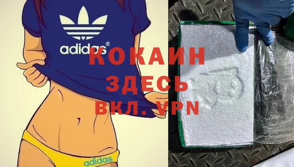 шишки Киренск