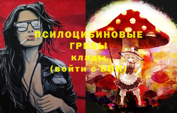 молекула духа Костерёво
