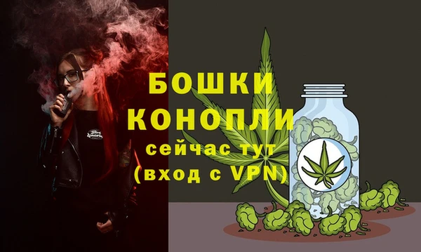 молекула духа Костерёво