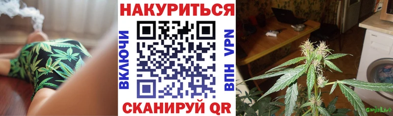 Бошки Шишки Amnesia  цена наркотик  Льгов 